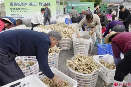 全省第一批消費(fèi)幫扶產(chǎn)品公示！57款汕尾產(chǎn)品入選